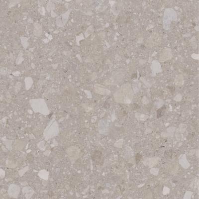 Плитка Allore Group Terra beige MAT 60x60