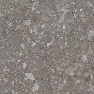 Плитка Allore Group Terra greige MAT 60x60