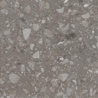 Плитка Allore Group Terra greige MAT 60x60
