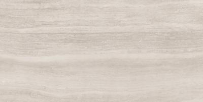 Плитка Allore Group TRAVERTINE SILVER MAT 60x120