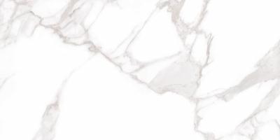 Плитка Allore Group VENETO WHITE FL 60x120