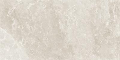 Плитка ALMERA CERAMICA China Elf YZI612S4095 ELF STONE 120x60