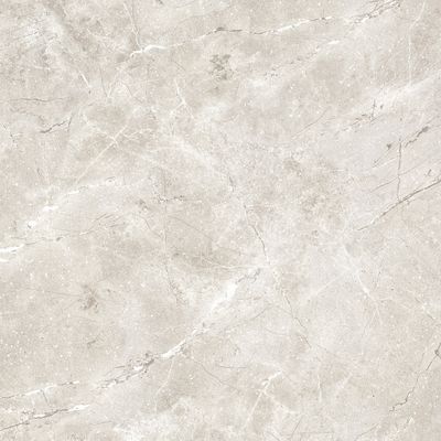 Плитка ALMERA CERAMICA China SENSATION GF66BJ03HM LIGHT GREY 600x600