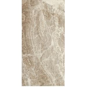 Плитка ALMERA CERAMICA Spain DANAE GRIS 500x250