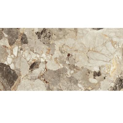Плитка ALMERA CERAMICA Spain DELOS EARTH PULIDO RECT 60x120