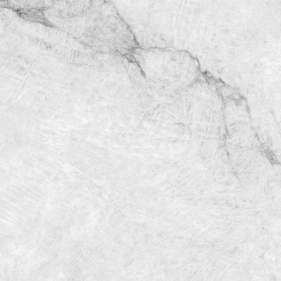 Плитка ALMERA CERAMICA Spain EC.PRECIOUS WHITE PUL 90x90