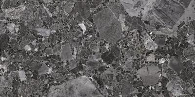 Плитка ALMERA CERAMICA Spain Portobello PORTOBELLO DARK RC 120x60