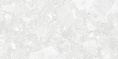 Плитка ALMERA CERAMICA Spain Portobello PORTOBELLO WHITE RC 120x60
