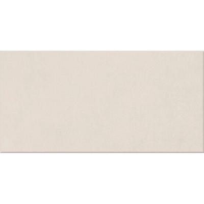 Плитка APE Ceramica ARGILLAE NEVE 60x120