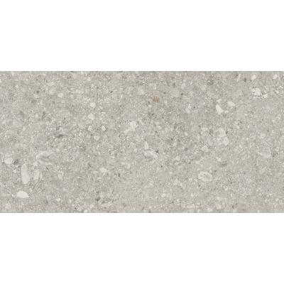 Плитка APE Ceramica CEPPO LAP RECT 1200x600