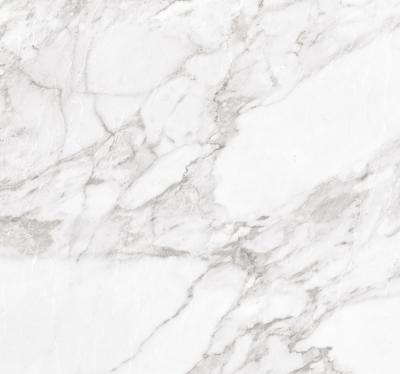 Плитка Argenta Ceramica CARRARA WHITE SHINE 60x60