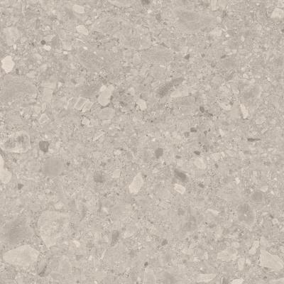 Плитка Argenta Ceramica FLODSTEN EARTH 60x60