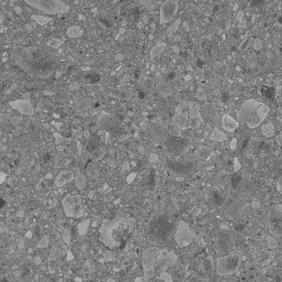 Плитка керамограніт Argenta Ceramica FLODSTEN WINTER RC 60x60