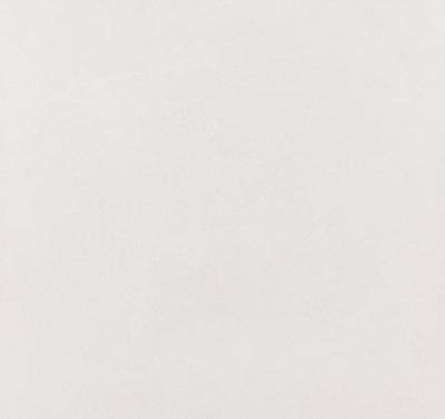 Плитка Argenta Ceramica HARDY WHITE RC 60x60