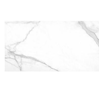 Плитка Argenta Ceramica THOLOS WHITE NATURAL 260x120
