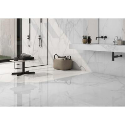 Плитка Argenta Ceramica THOLOS WHITE POLISHED 260x120