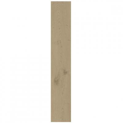 Плитка Atlas Concorde Entice Ash Oak Natural 20x120 Matt