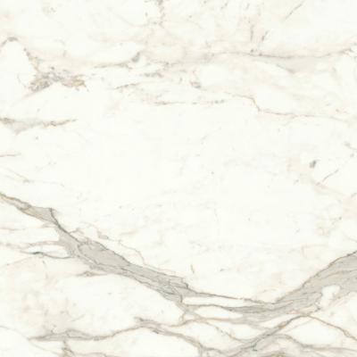 Плитка Atlas Concorde Marvel Calacatta Prestigio 120x120 Matt