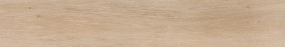 Плитка Atrium VIGGO ARCE 20x120