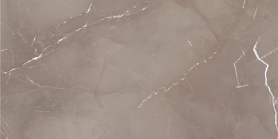 Плитка AZTECA PASSION LUX TAUPE 60x120
