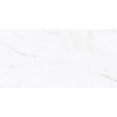 Плитка керамограніт Azulejos Benadresa Status Pulido Rect 60X120