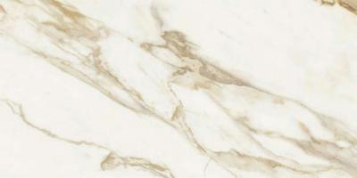 Плитка Baldocer Adagio Gold 60x120