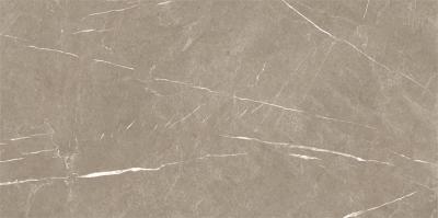 Плитка Baldocer Eternal Taupe 120x260