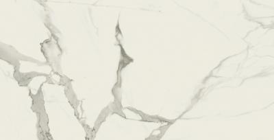 Плитка Baldocer Statuario 60x120 gl
