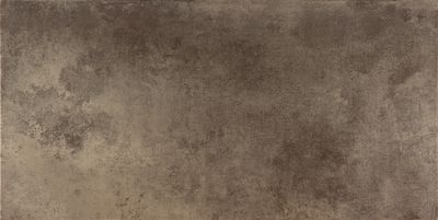 Плитка CERACASA CERAMICA EVOLUTION TITANIO LAPATTO 49.1х98.2 R