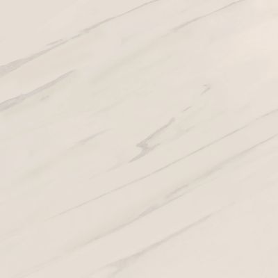 Плитка Cerama Market SS-6005 60х60