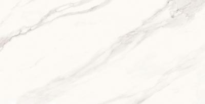Плитка Cerama Market SUPERB CALACATTA GRANDE 60х120