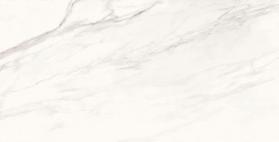 Плитка Cerama Market SUPERB CALACATTA GRANDE 60х120