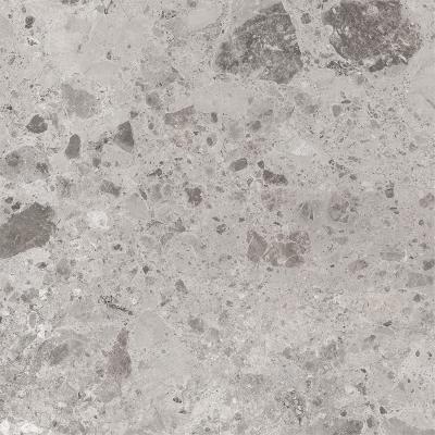 Плитка Керамогранит CERAMICA DESEO Ambra серый L72580 60x60