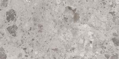 Плитка CERAMICA DESEO Ambra Ambra серый L72980 120x60