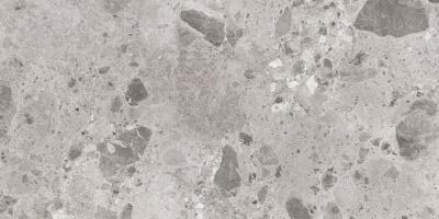 Плитка Керамогранит CERAMICA DESEO Ambra серый L72980 120x60