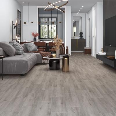 Плитка Керамограніт CERAMICA DESEO Lustroso  whiteLT0P10 65x20