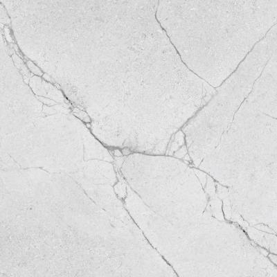 Плитка CERAMICA DESEO SEGESTA SILVER 600x600