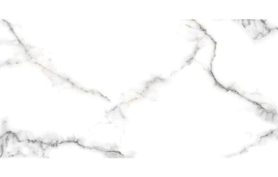 Плитка Ceramica Santa Claus Carrara 60x120