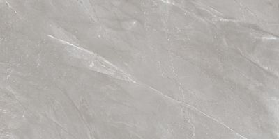 Плитка Ceramica Santa Claus Venezia Grey 60x120