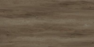 Плитка Ceramika Konskie Roverto rectified brown 20,5x84
