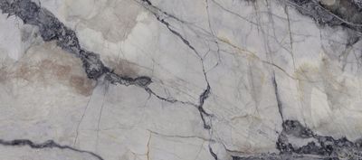 Плитка Cerrad FOREST Grey 60x120