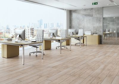 Плитка Cerrad GRES TONELLA CREAM 41220 20x120