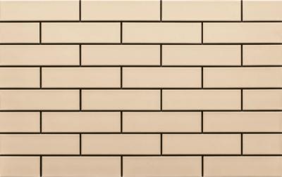 Плитка Cerrad KREM GLADKIE 19720 6x25