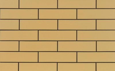 Плитка Cerrad PIASKOWE GLADKIE 19669 6x25