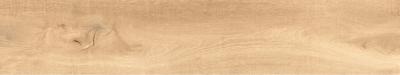 Плитка Cicogres Aspen Natural 20x120