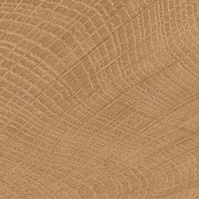 Плитка Керамограніт EMIL CERAMICA W-CIRCLES ENJE WCI WALNUT 100X100 10x10