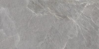 Плитка Energieker Genesis Ash Natural 60x120