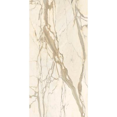 Плитка Fiandre Marble Lab Calacatta Elite 60x120