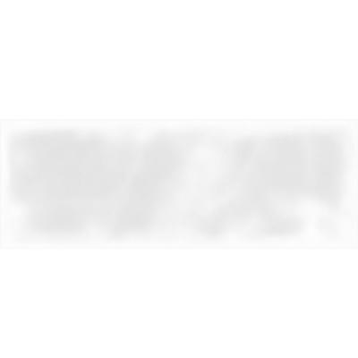 Плитка GEOTILES ENCODE WHITE 25x70