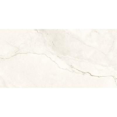 Плитка Керамогранит Geotiles Eterna 60x120